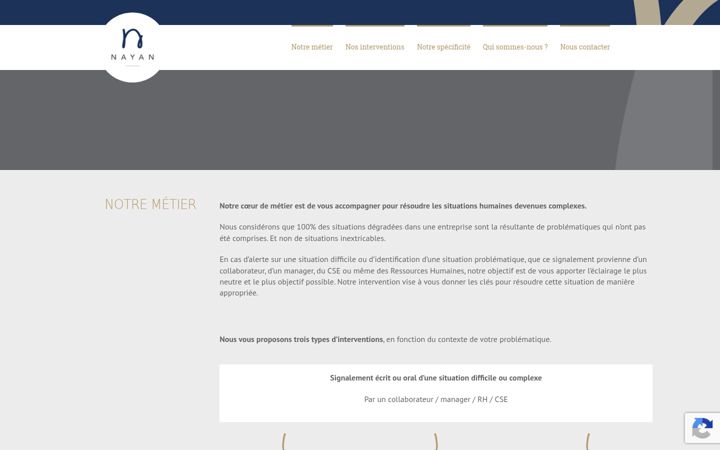 Screenshot ta' nayan.fr