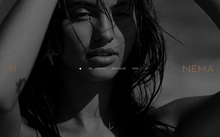 Screenshot von nemacrete.com