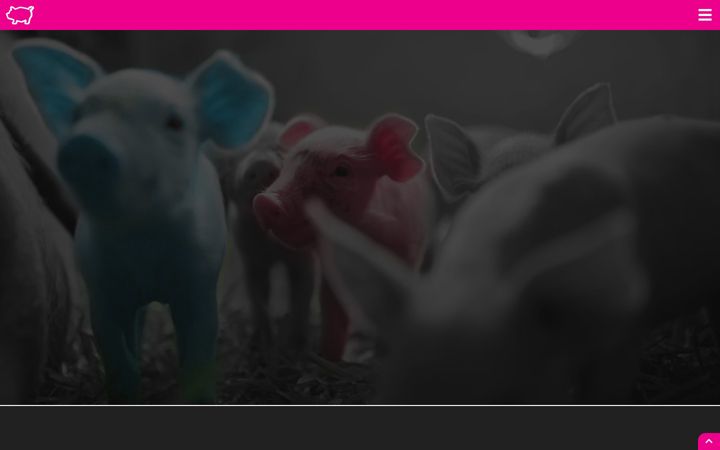 neonpigcreative.com