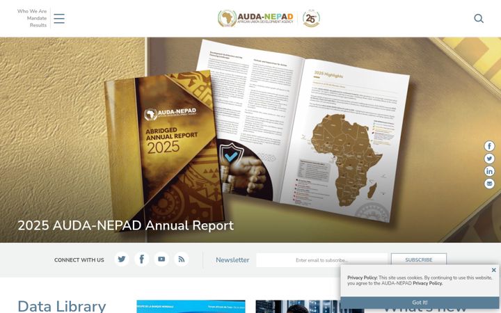Screenshot of nepad.org