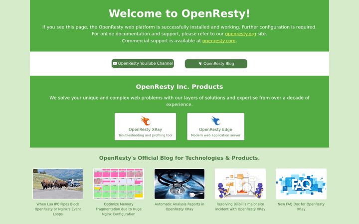 Screenshot of nerventualken.com