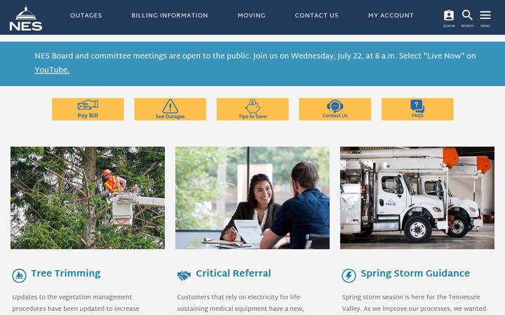 Screenshot of nespower.com