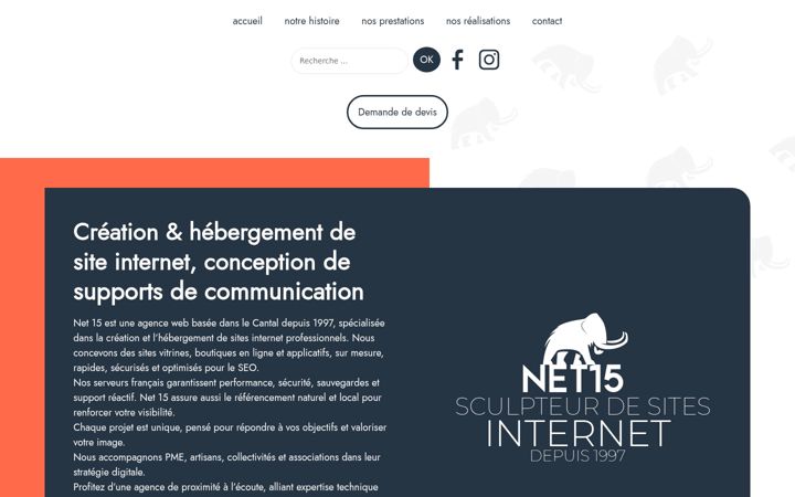 Screenshot of net15.fr
