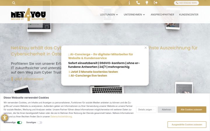 Screenshot of net4you.net