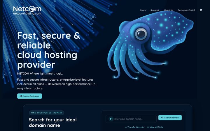 Zrzut ekranu netcomhosting.com