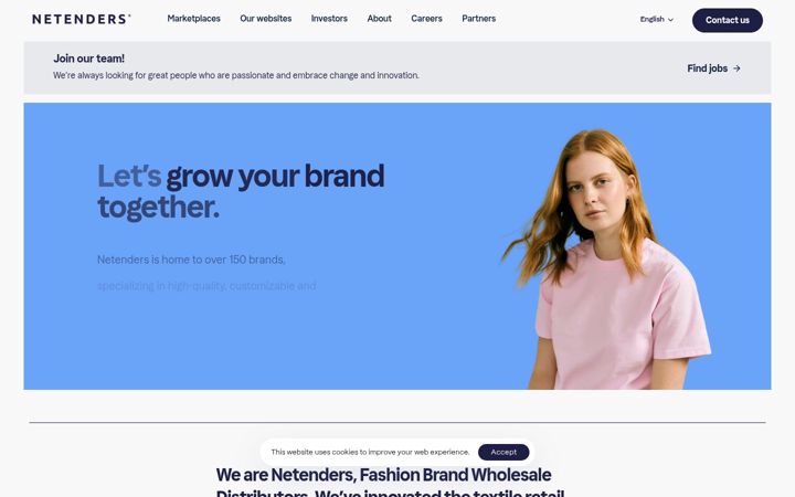 Snímek obrazovky netenders.com