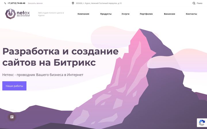Screenshot of netex.pro