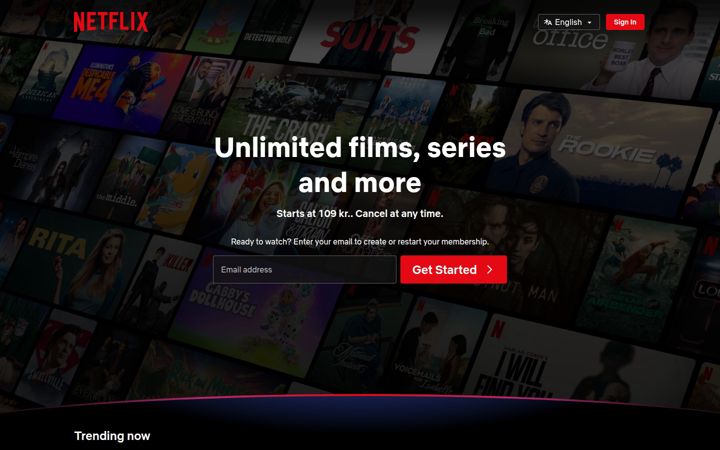 Screenshot stránky netflix.net