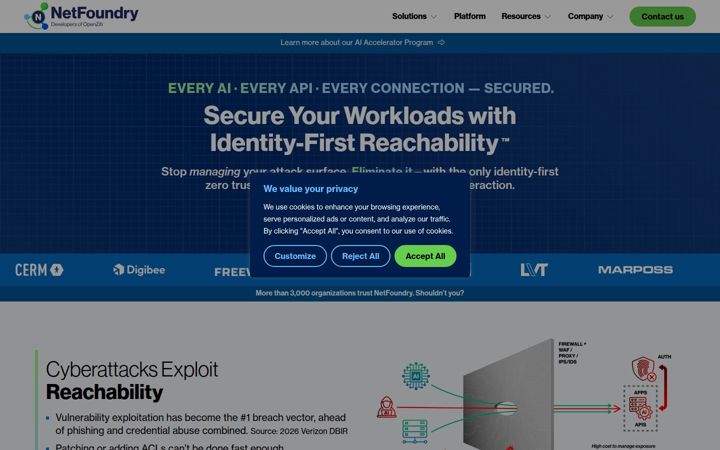 Screenshot of netfoundry.io