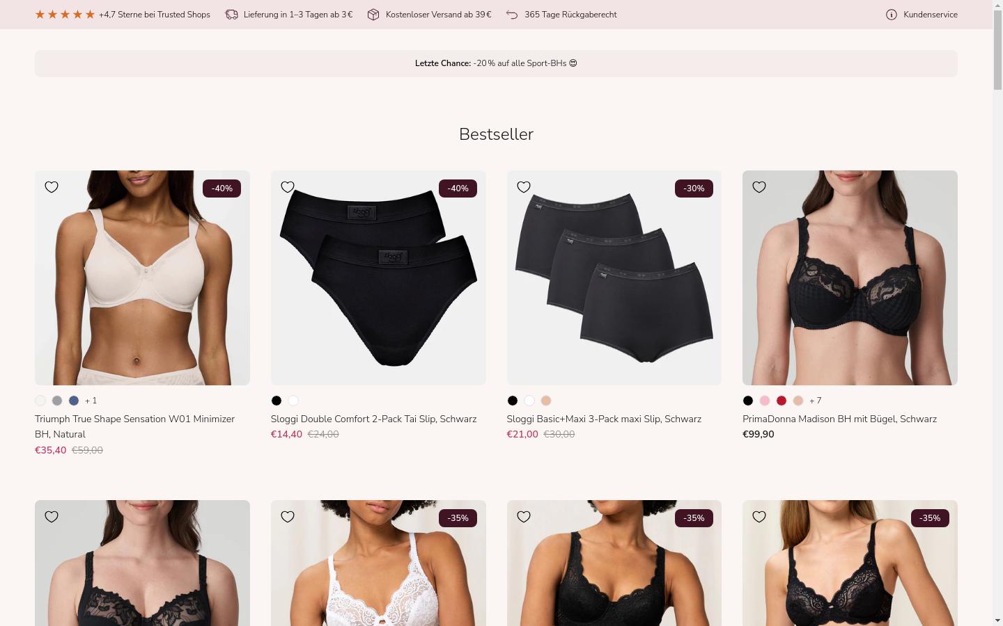 Screenshot of netlingeri.de