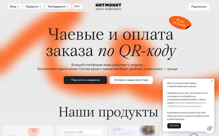 Zrzut ekranu netmonet.co