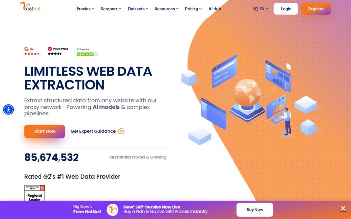 Screenshot di netnut.io