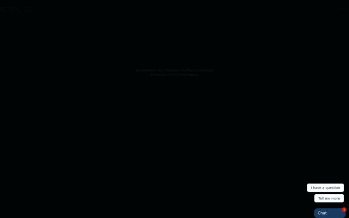 Screenshot of netpluz.asia