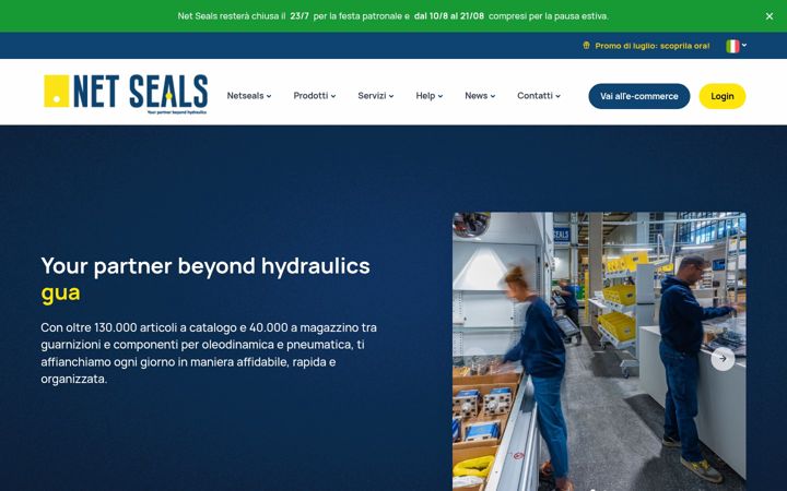 Screenshot of netseals.it
