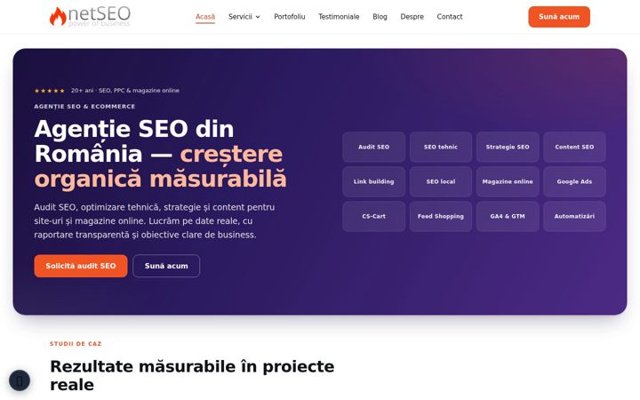 Screenshot of netseo.ro