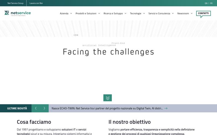 Screenshot of netservice.eu