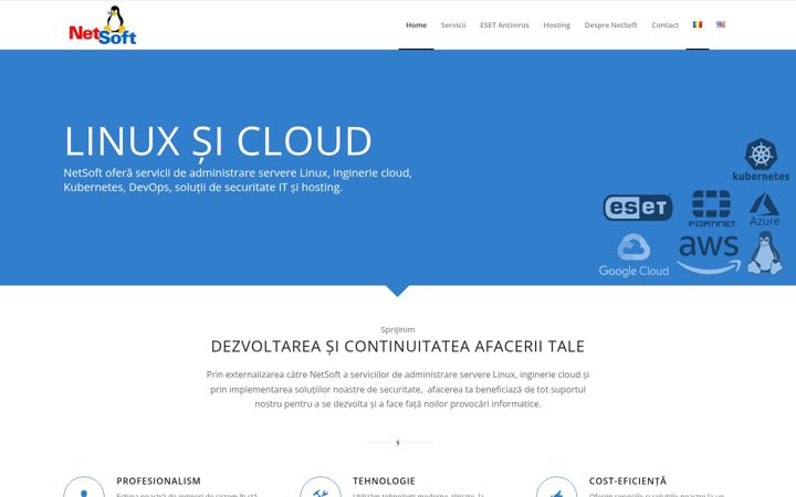 Screenshot of netsoft.ro