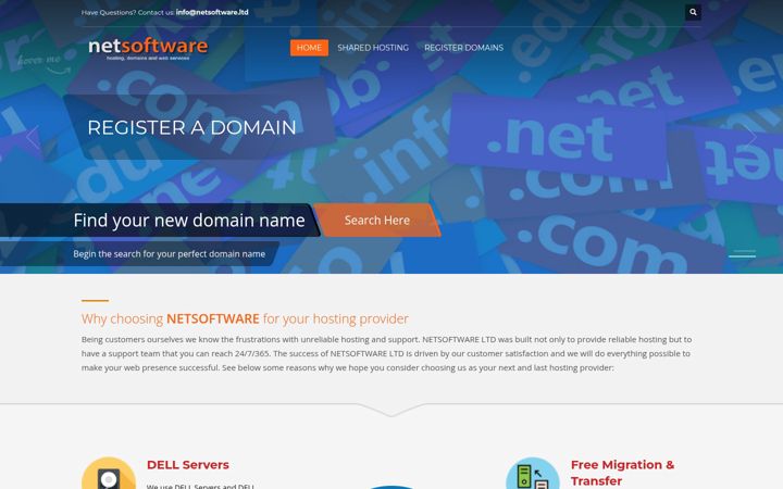 Screenshot of netsoftware.ltd