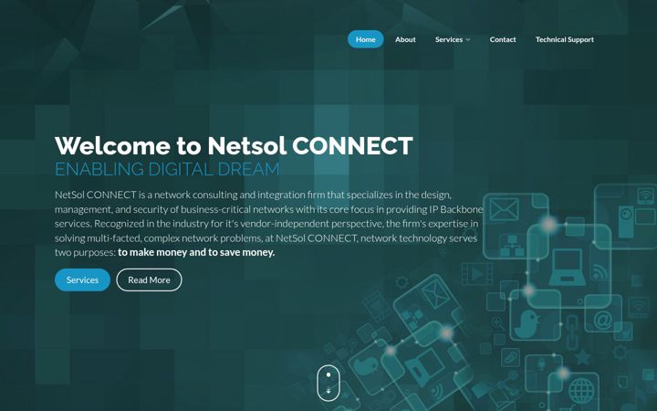 Screenshot of netsolir.com