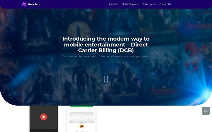 Screenshot of netssero.com