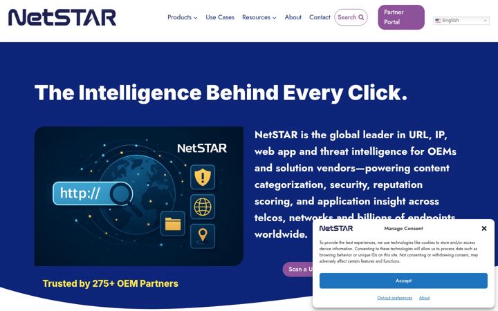 Zrzut ekranu netstar-inc.com