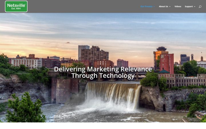 Screenshot of netsville.com