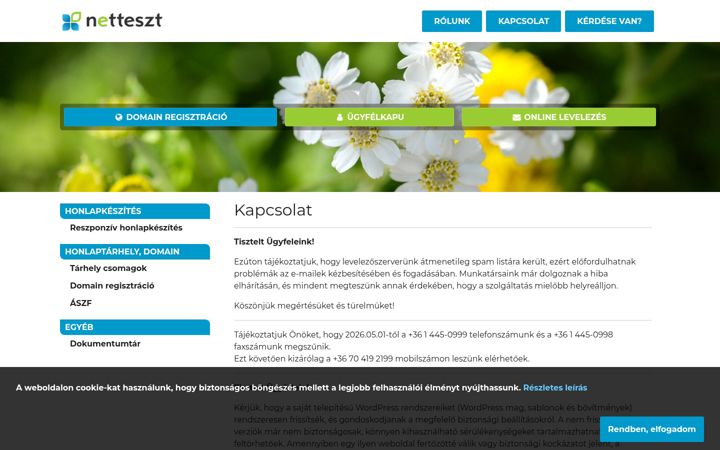 Screenshot of netteszt.hu