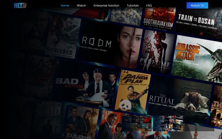 Screenshot of nettv.com.np