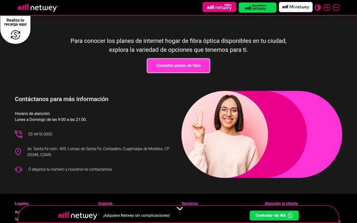 Screenshot of netwey.com.mx