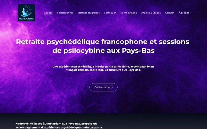 Screenshot of neurocybine.com
