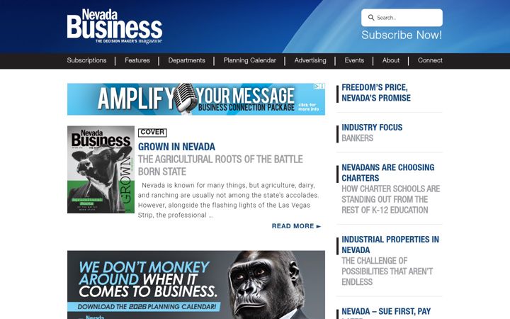 Kuvakaappaus sivustosta nevadabusiness.com