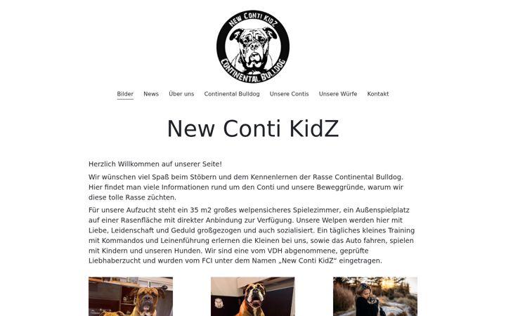 Screenshot του newcontikidz.de