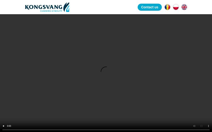 Screenshot of newindenmarkkongsvang.net