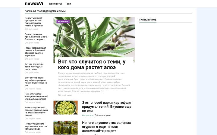 Screenshot of news-evi.net