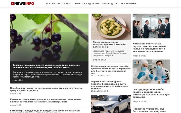 Screenshot of newsinfo.ru