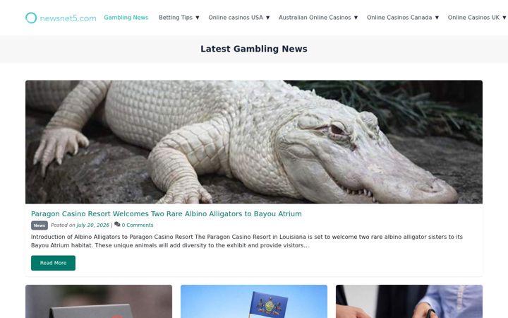 Screenshot of newsnet5.com