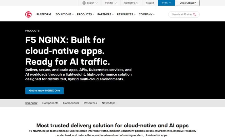 Zrzut ekranu nginx.com