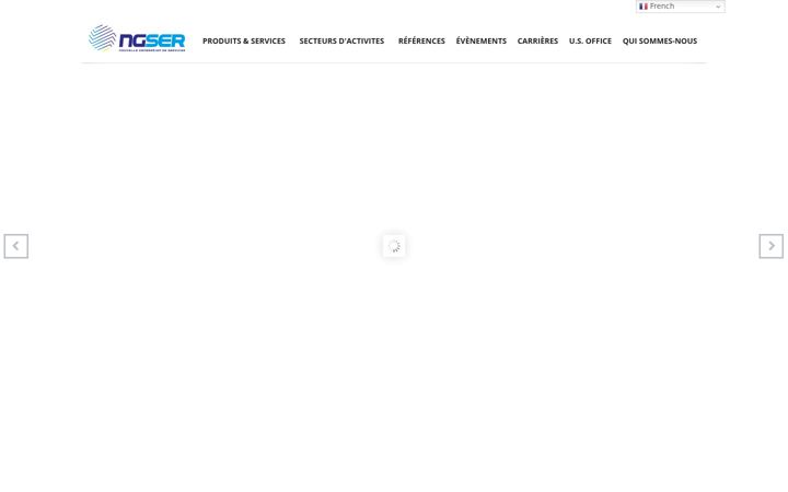Screenshot of ngser.com