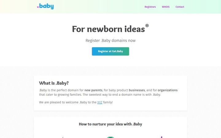 Screenshot of nic.baby