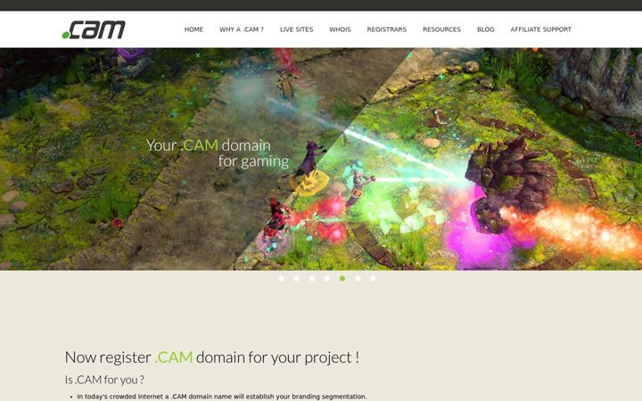 Screenshot of nic.cam