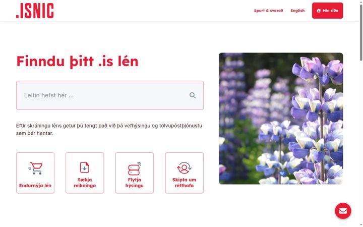 Screenshot of nic.is
