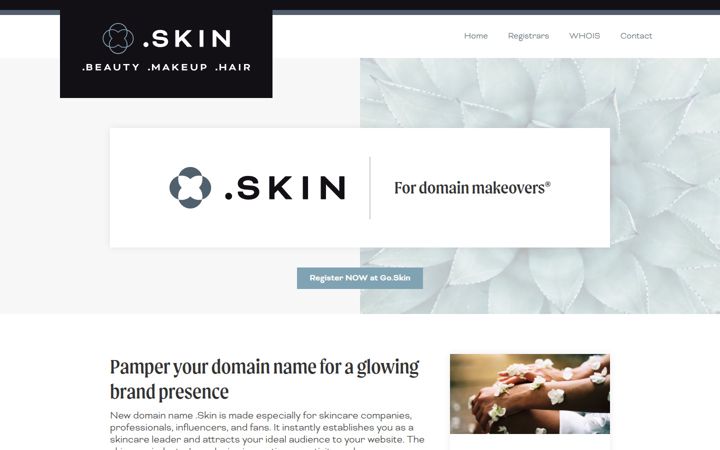 Screenshot of nic.skin