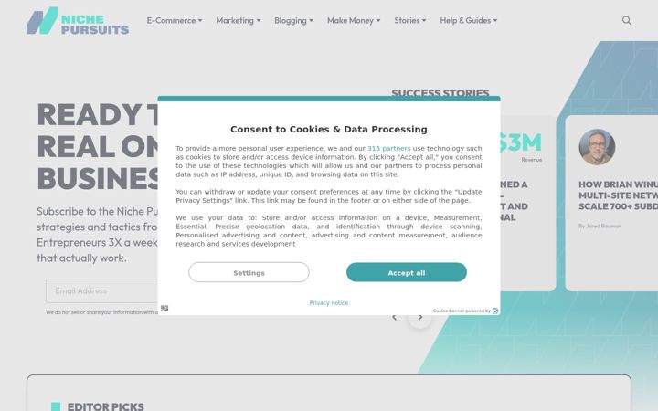Screenshot of nichepursuits.com