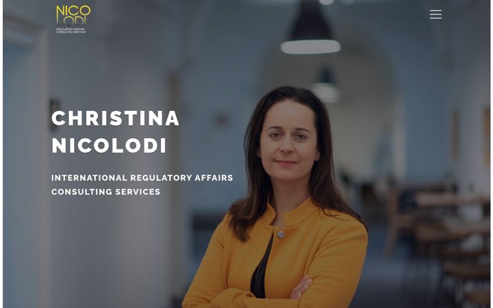 Screenshot van nicolodi-consulting.com
