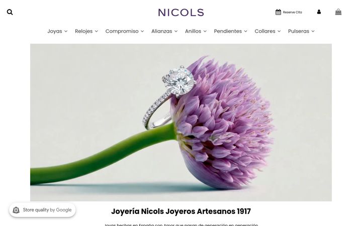 Screenshot of nicols.es