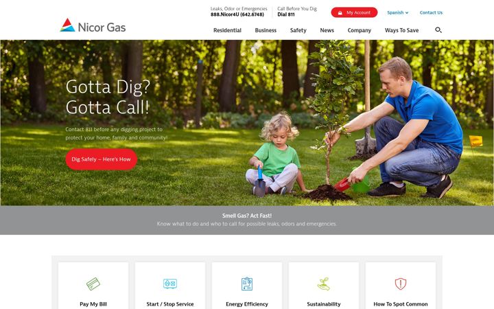 Screenshot of nicorgas.com