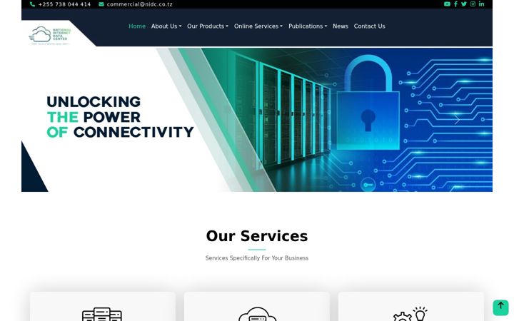 Screenshot of nidc.co.tz
