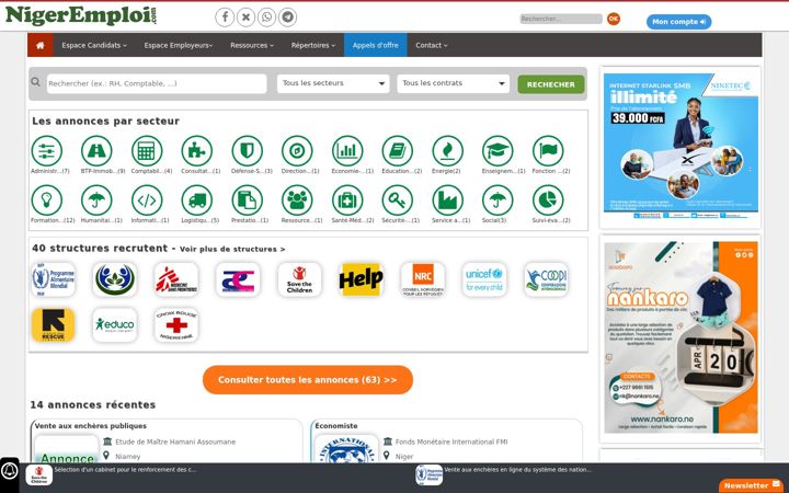 Screenshot of nigeremploi.com