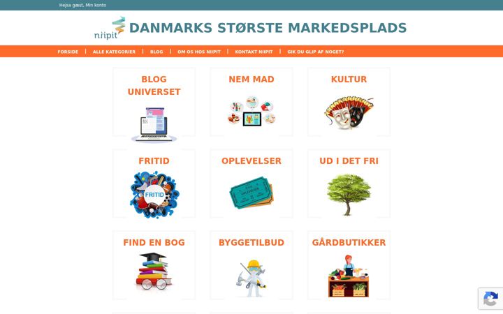Screenshot di niipit.dk