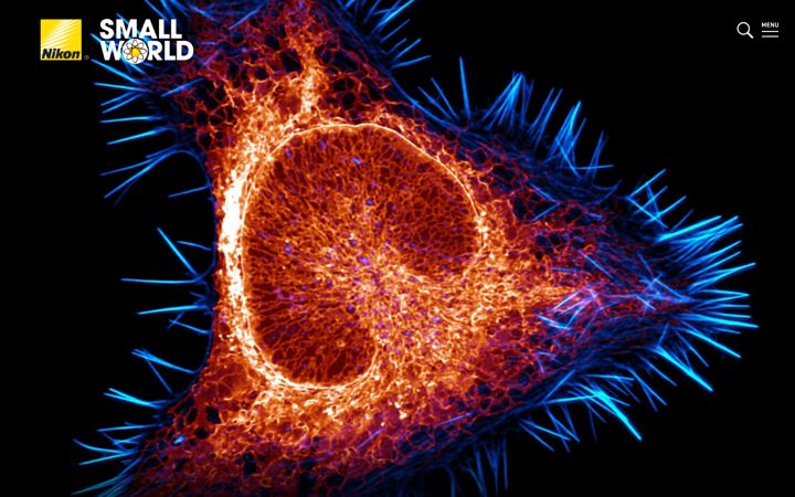 Screenshot of nikonsmallworld.com